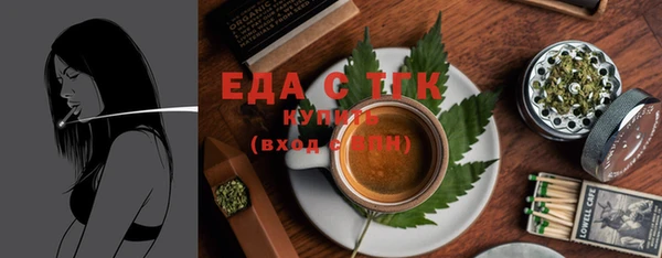 гашик Ельня