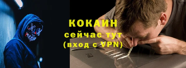 гидропоника Дмитриев