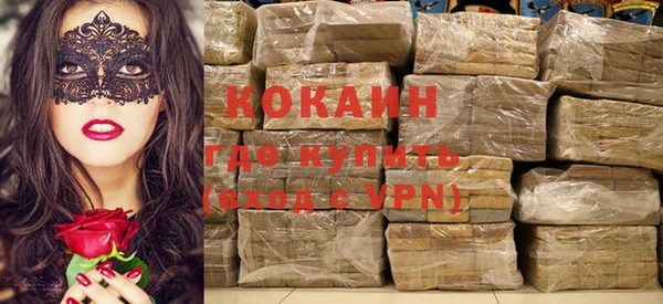 гашик Ельня