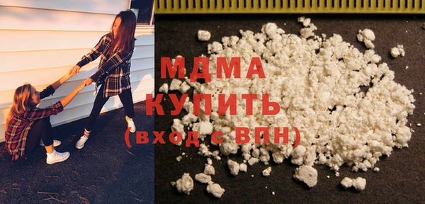 гашик Ельня