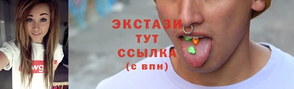 гашик Ельня