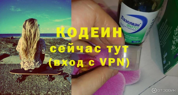 гашик Ельня