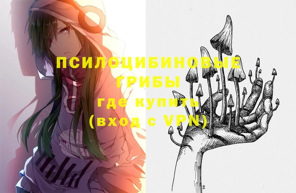 соль курить ск Дмитровск