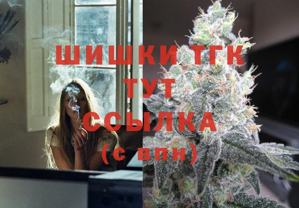 гидропоника Дмитриев