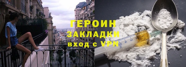 гашик Ельня