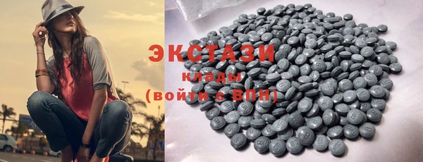 гашик Ельня