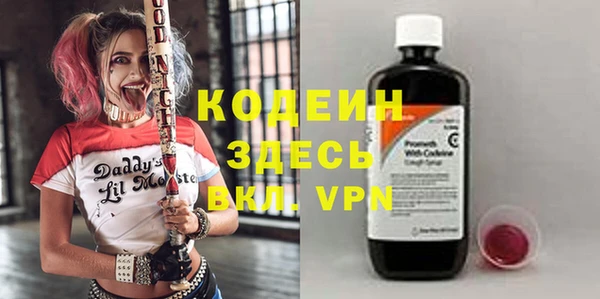 гашик Ельня
