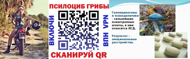 Купить где  Малаховка  Псилоцибиновые грибы мухоморы 